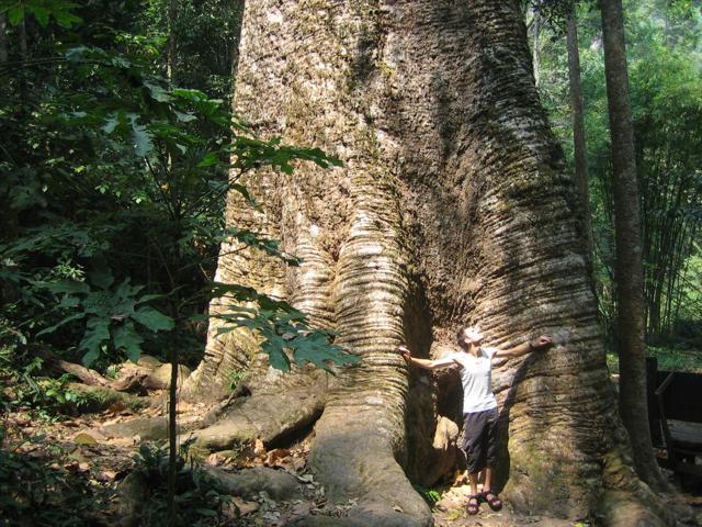 Taksin Maharat National Park